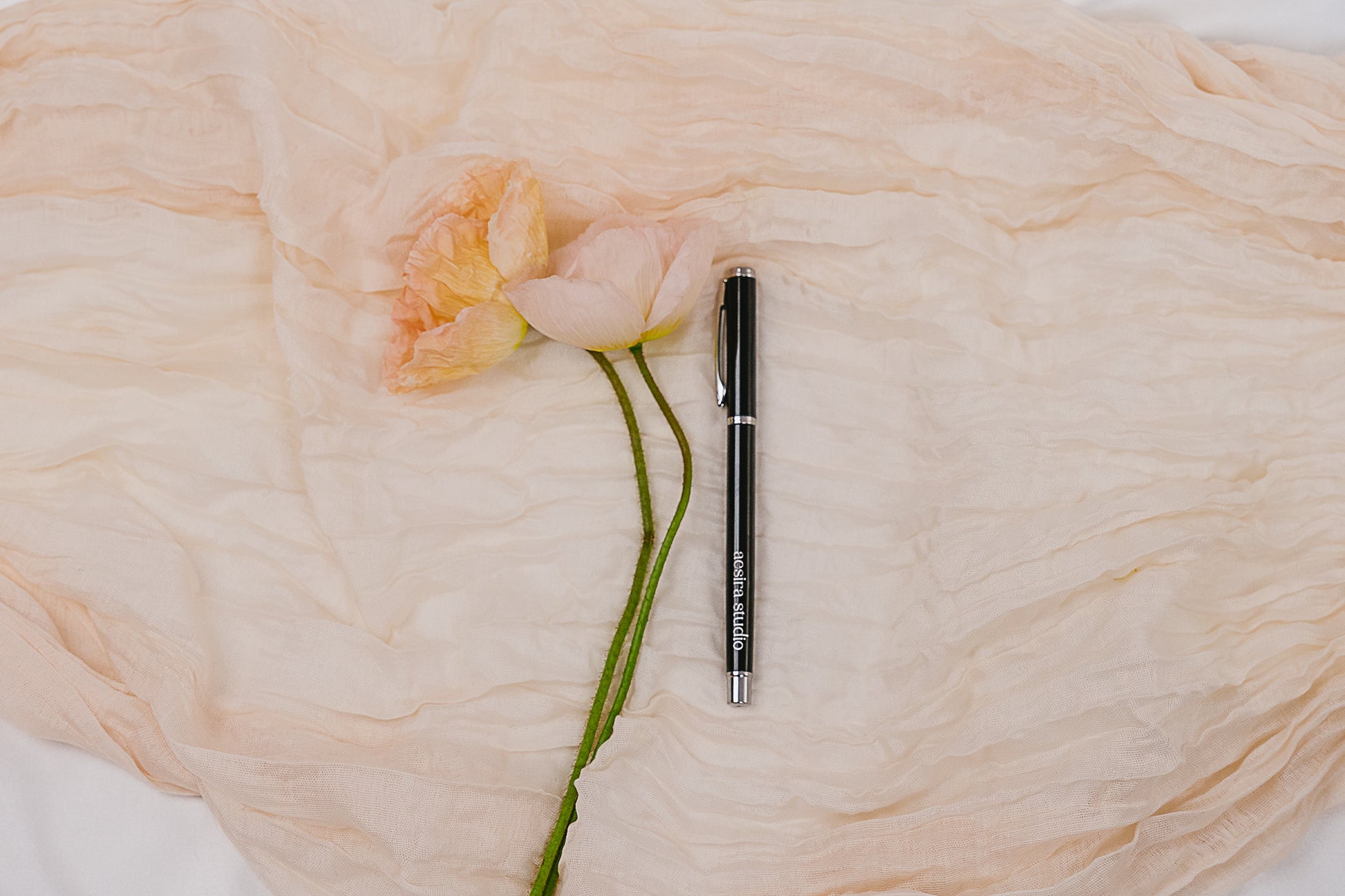 Premium Ballpoint Pen