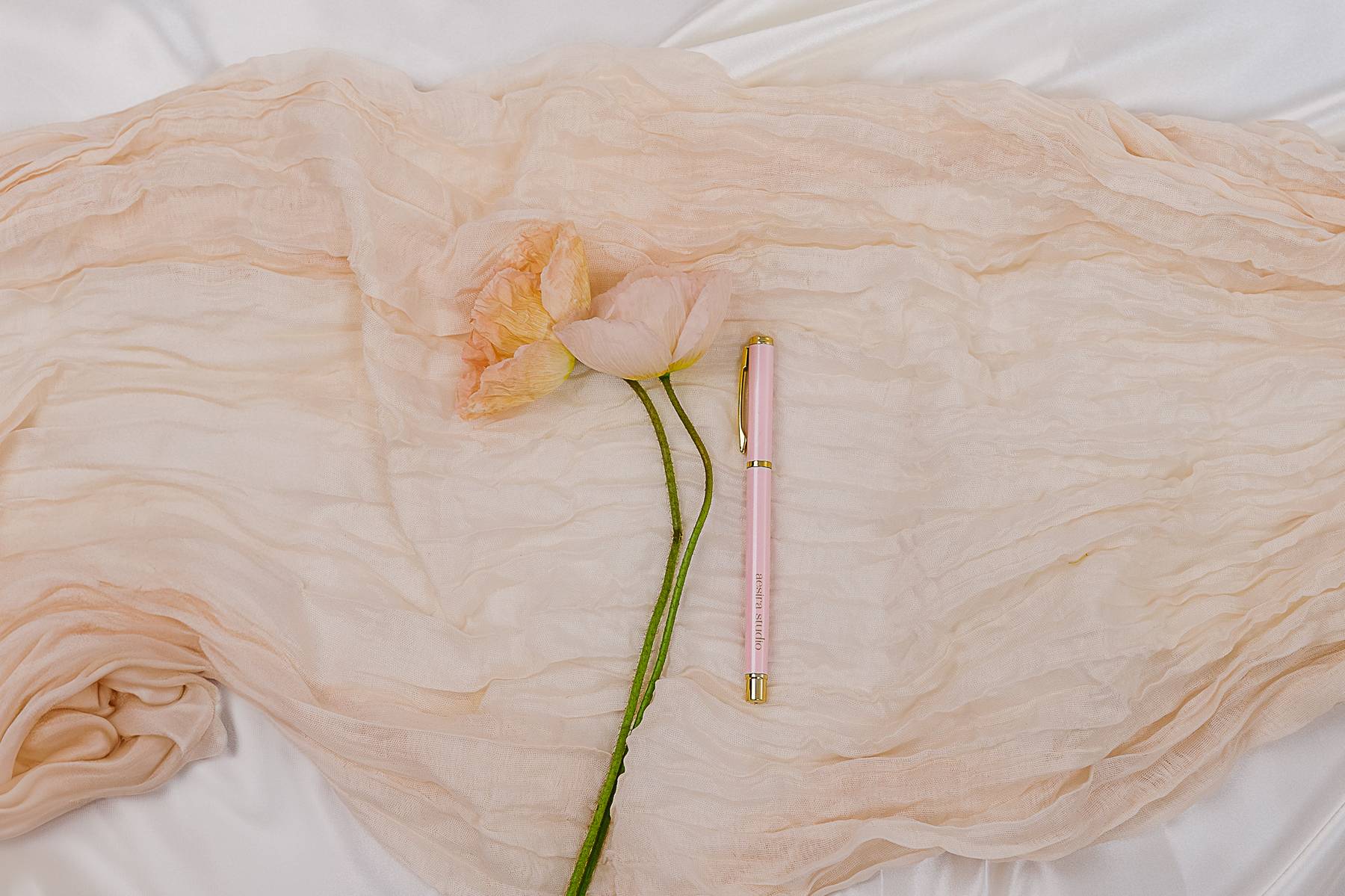 Premium Ballpoint Pen